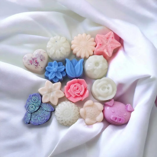 Laundry/Cleaning Mixed Shape Wax Melts